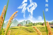 江山芒种节气小知识来了 夏种作物都有什么？